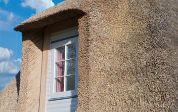 Ffostrasol thatch roof disadvantages